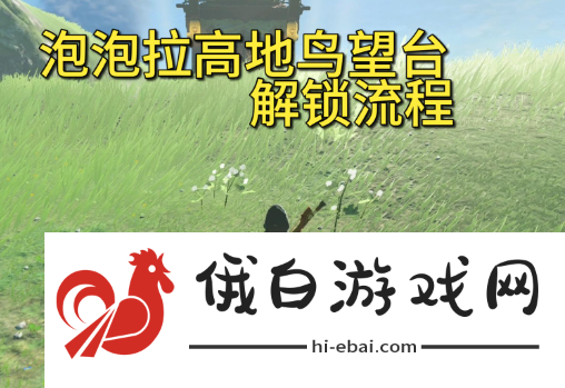 塞尔达传说王国之泪泡泡拉高地鸟望台打不开怎么办