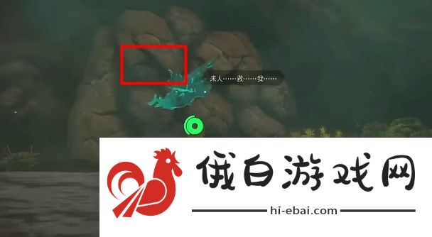 塞尔达传说王国之泪泡泡拉高地鸟望台打不开怎么办