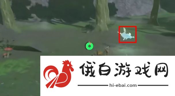 塞尔达传说王国之泪泡泡拉高地鸟望台打不开怎么办