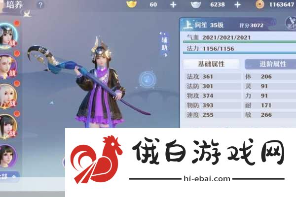 梦幻新诛仙天道府如何搭配宝石，全面攻略指南