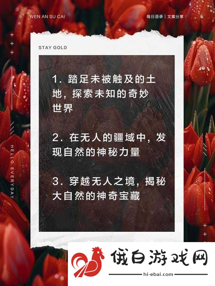 日韩无人区码卡二卡