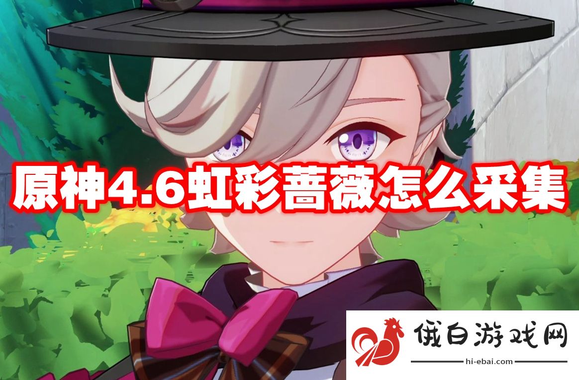 原神4.6虹彩蔷薇怎么采集