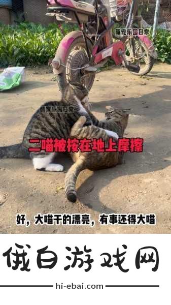 被摁在地上摩擦怎么巧妙回复