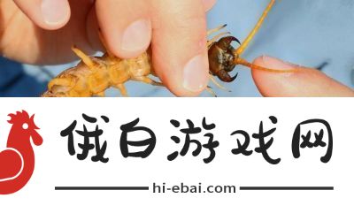 智慧再现！沙漠蜈蚣的必胜打法