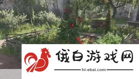 天国拯救2婚礼前必做支线任务推荐，打造完美婚礼之旅