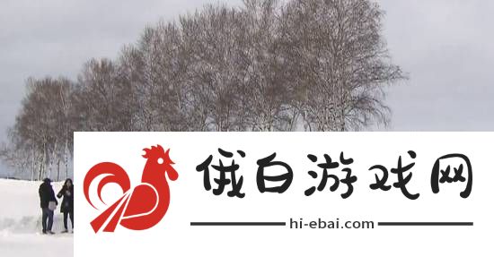 极乐软件园
