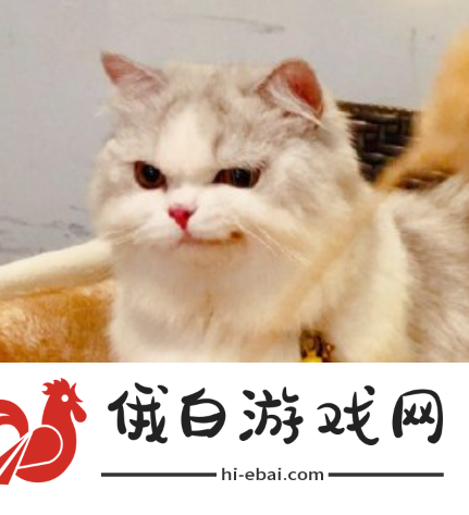 50万玩家赚走易2个亿后