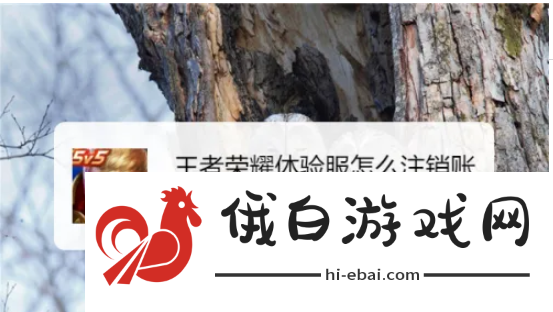 王者荣耀体验服怎么注销账号