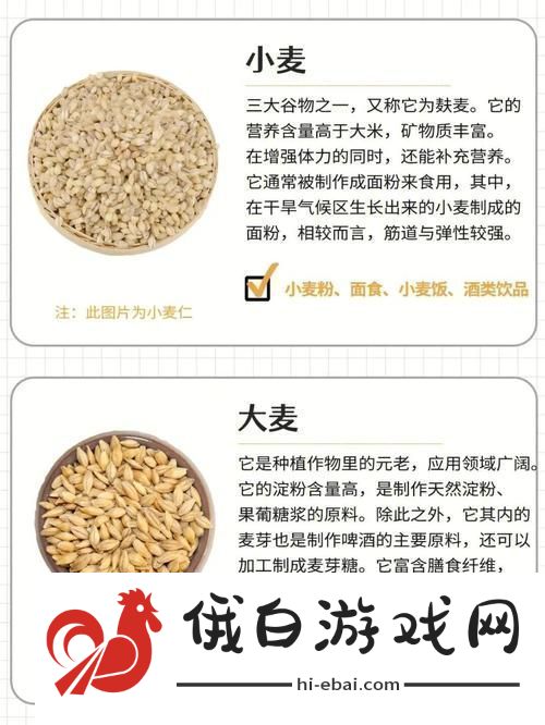 探索“麦子交换系列”