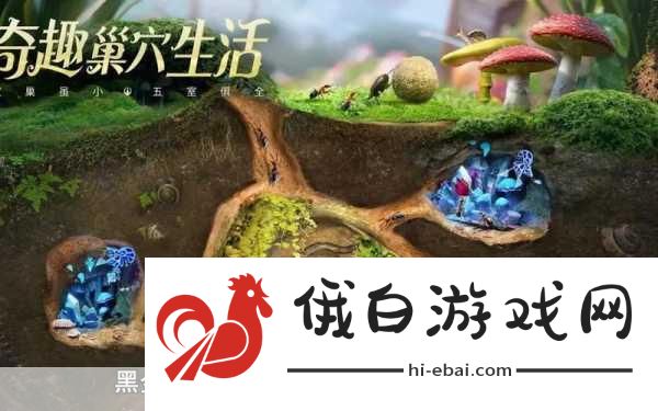 蚂蚁崛起如何提升战力技巧分享，全面解析战力提升方法