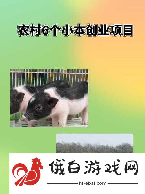 日本畜禽 CORPORATION