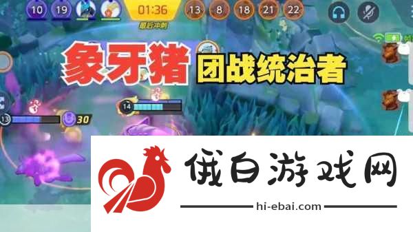 宝可梦大集结象牙猪特性优选指南