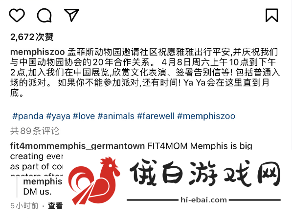 丫丫什么时候才能回来