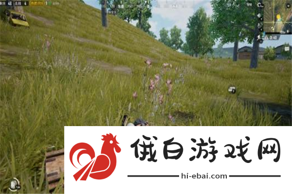 PEGI自打脸撤销小丑牌18+评级改为12+