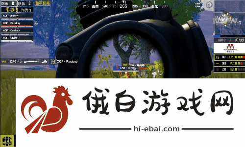在梦境与现实的边缘