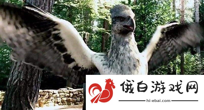 海格给巴克比克取了什么新名字