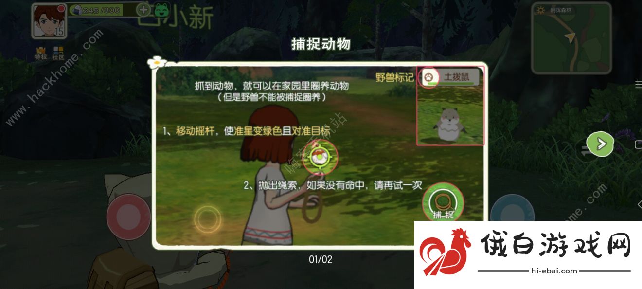小森生活动物资源分布大全 全部动物资源收集汇总图片2