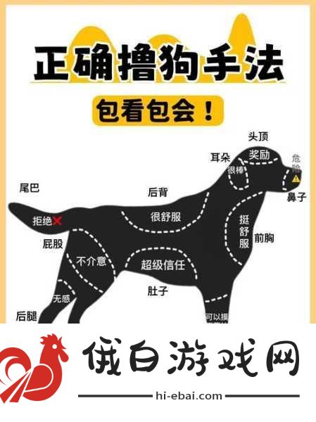 玩梗老司机训狗大师怎么过，全面通关流程与竞技战术指南