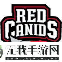 HEN1谈巴西战队面临压力