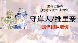 鸣潮菲比如何搭配队伍提升战力