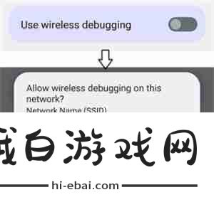 Shizuku怎么通过无线调试启动