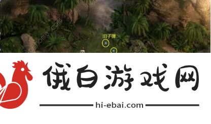 纳迪亚之宝攻略大全 纳迪亚之宝75031青山礼包码分享图片1