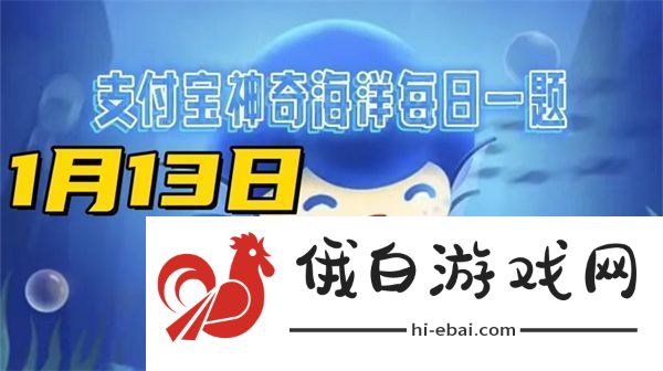 神奇海洋1月13日答案2025