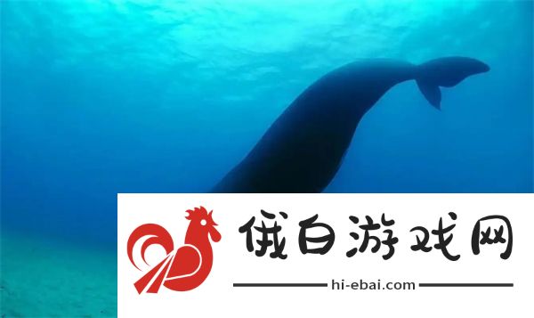 神奇海洋1月13日答案2025