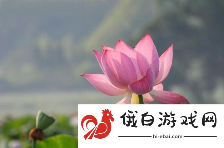 女性莲花绽放