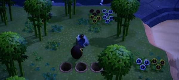 动物之森口袋营地(Pocket Camp)
