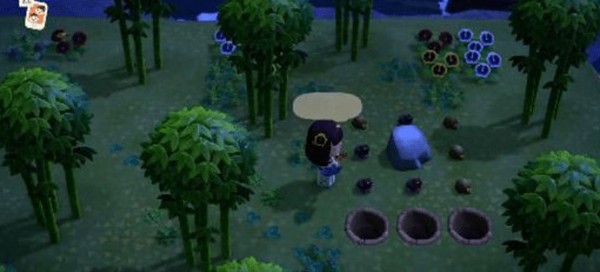 动物之森口袋营地(Pocket Camp)