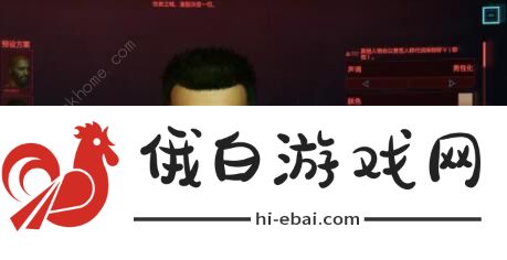 赛博朋克2077捏脸隐私数据大全 捏脸隐私数据汇总图片1