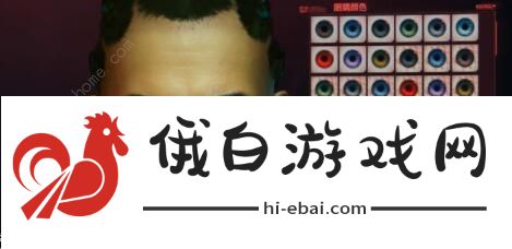 赛博朋克2077捏脸隐私数据大全 捏脸隐私数据汇总图片3