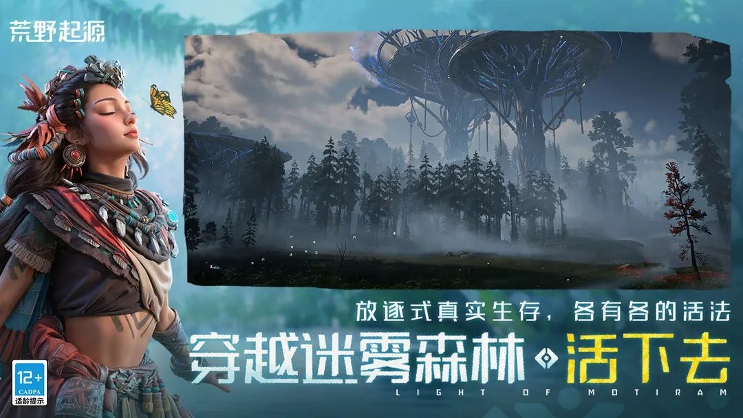 荒野起源